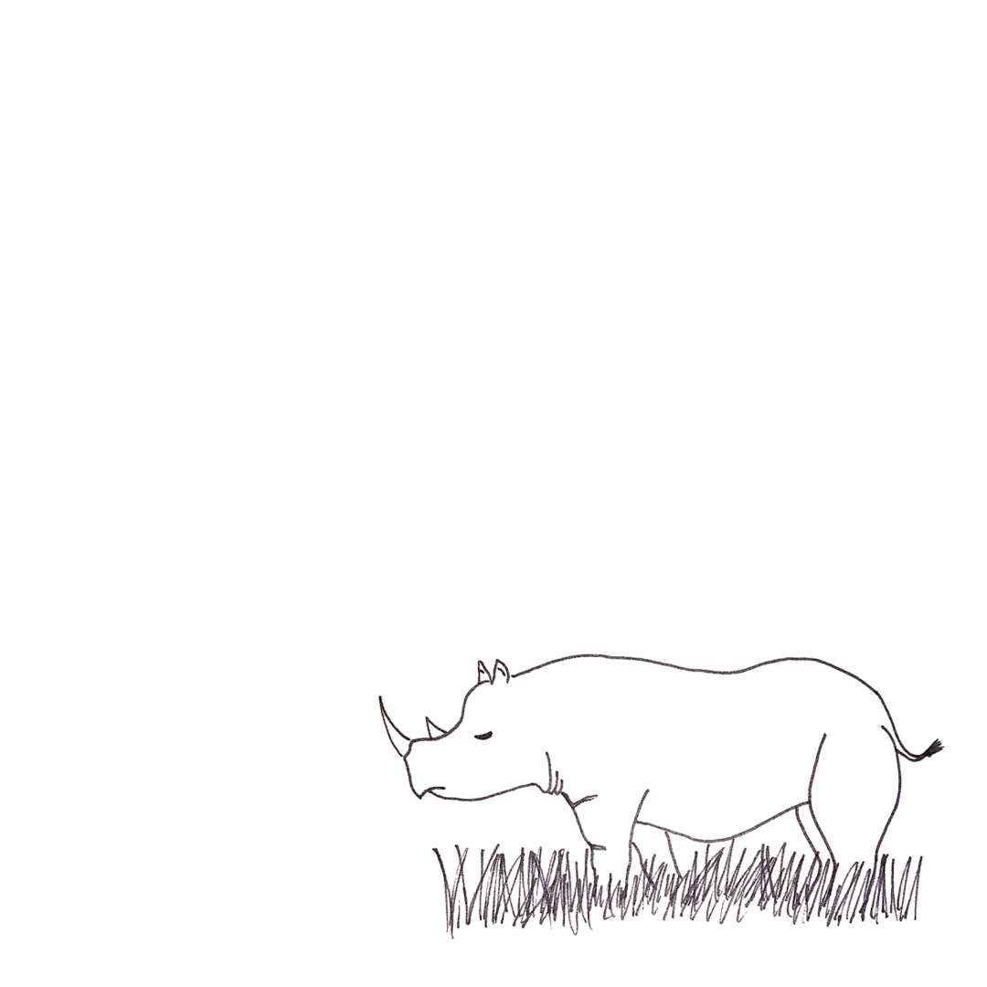 펜으로 그린 코뿔소 선화.